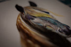 Horse Watercolour