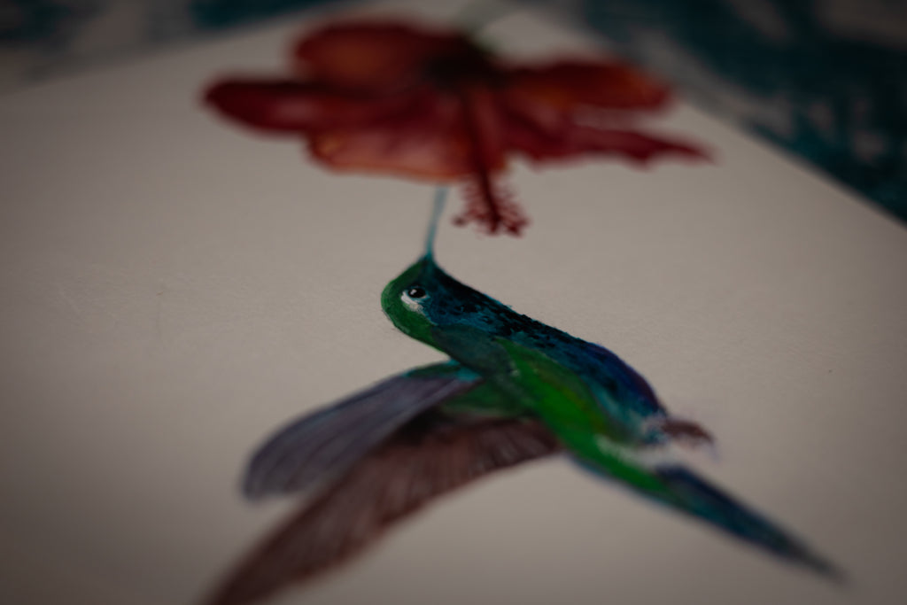 Hummingbird Watercolour
