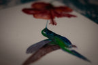 Hummingbird Watercolour