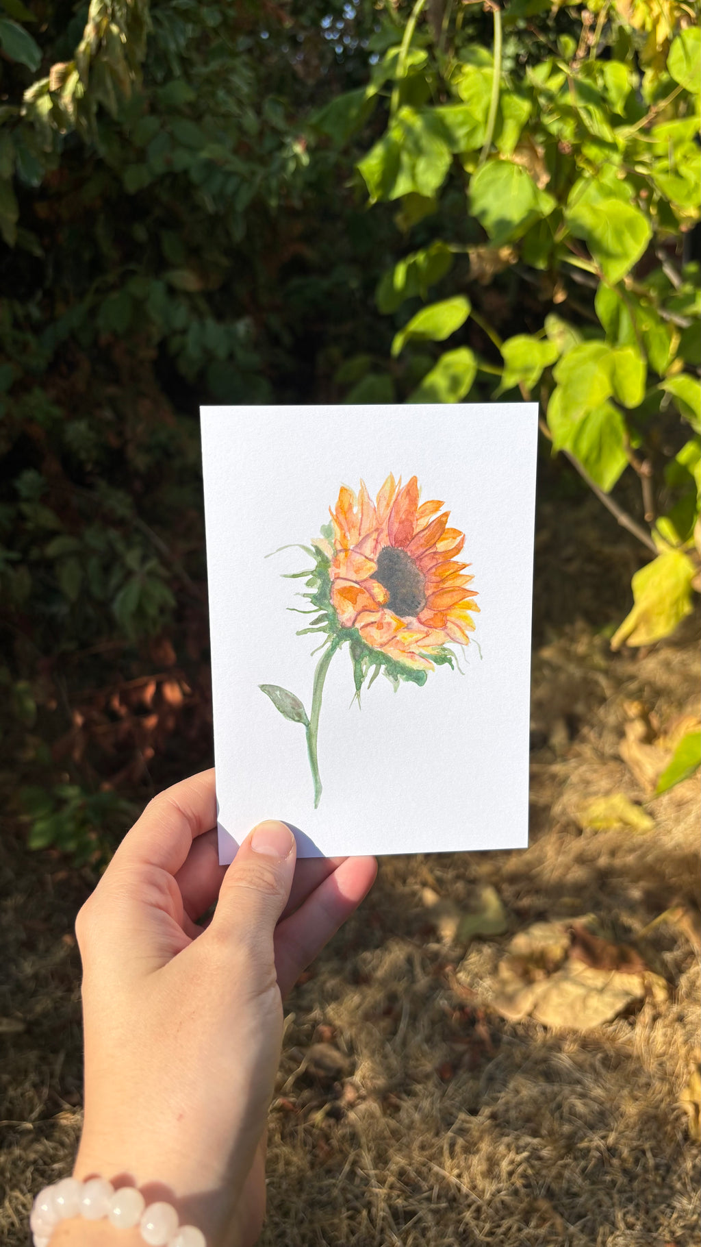 Watercolour Greetings Cards