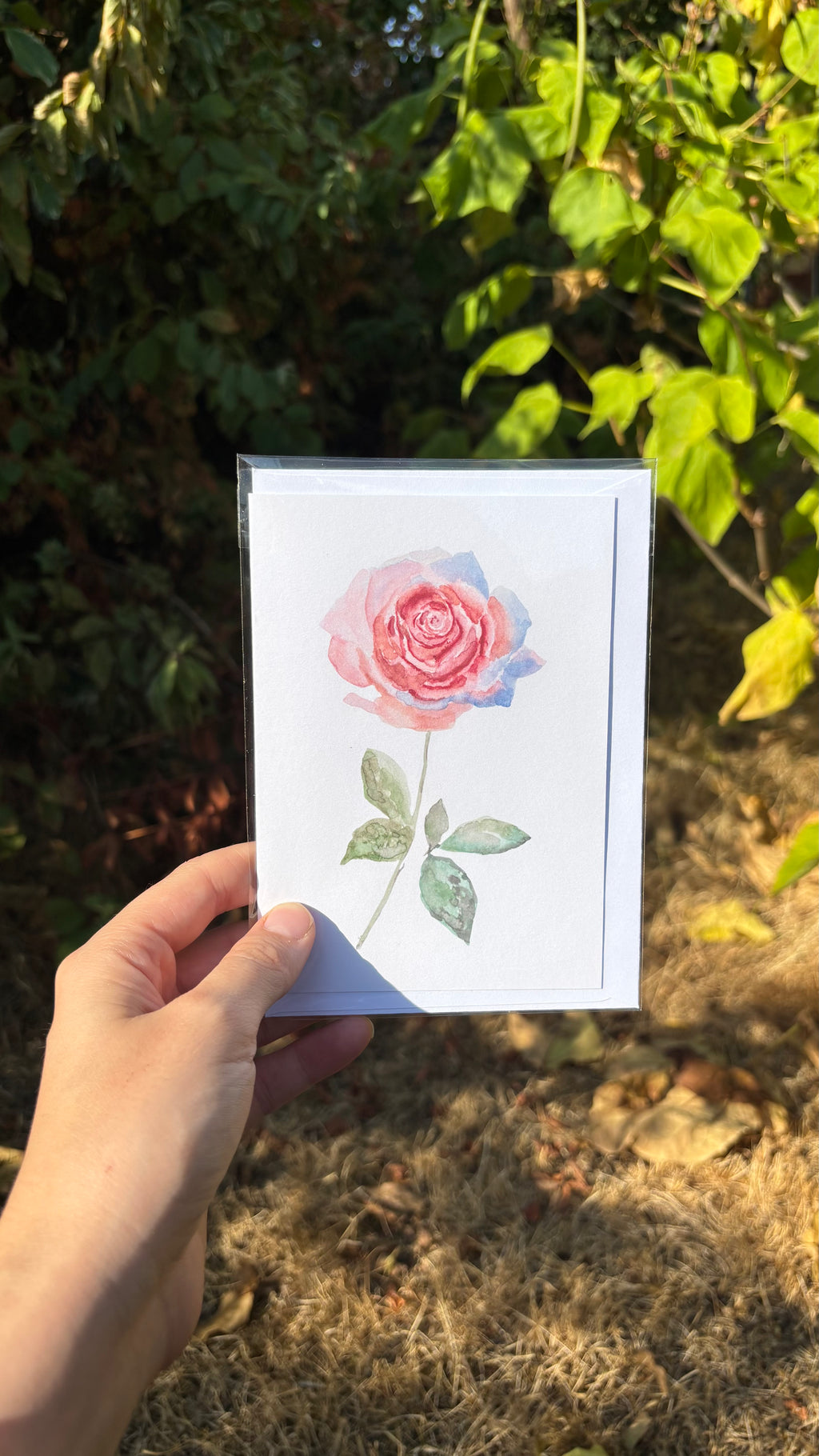 Watercolour Greetings Cards