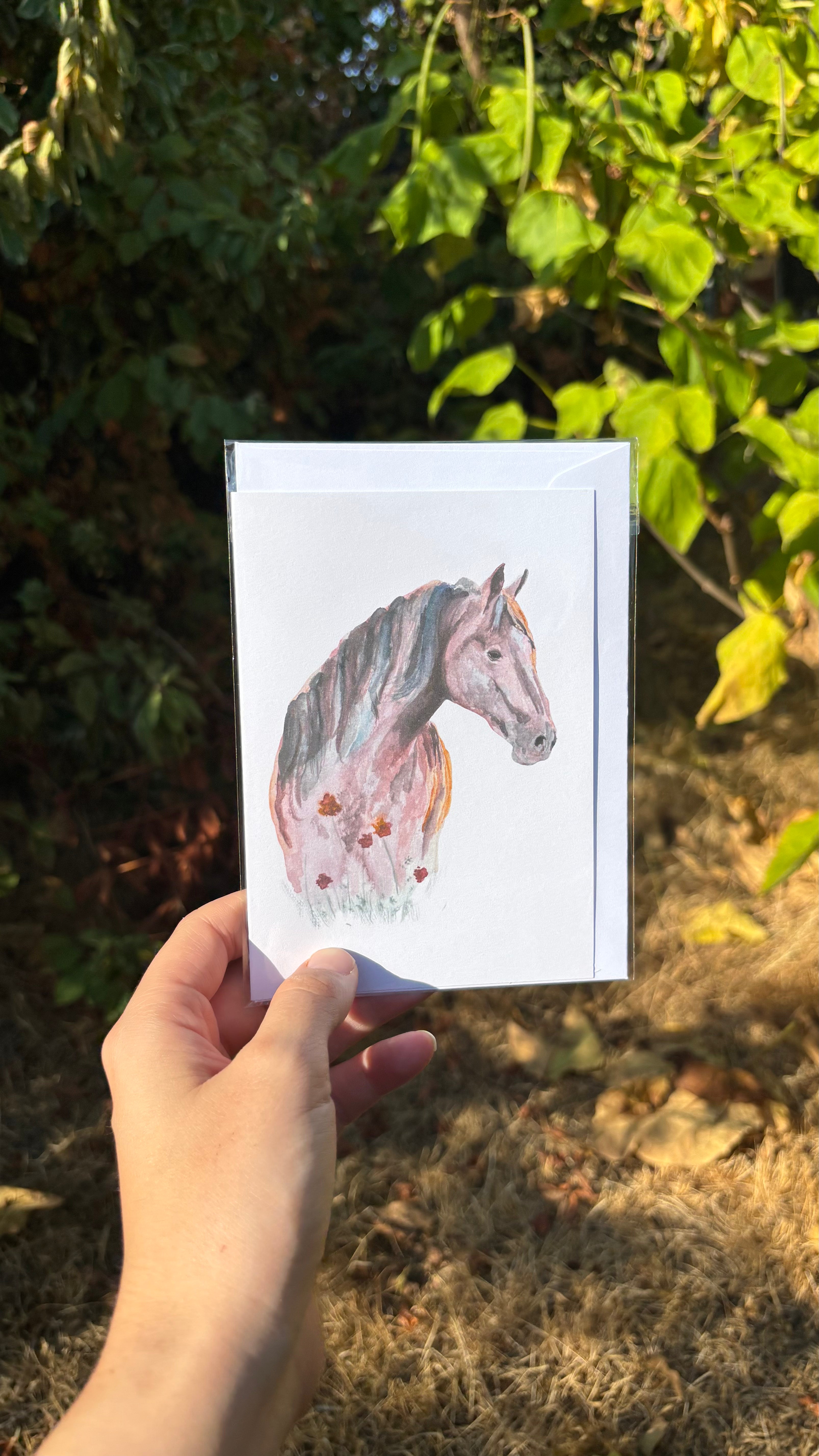 Watercolour Greetings Cards