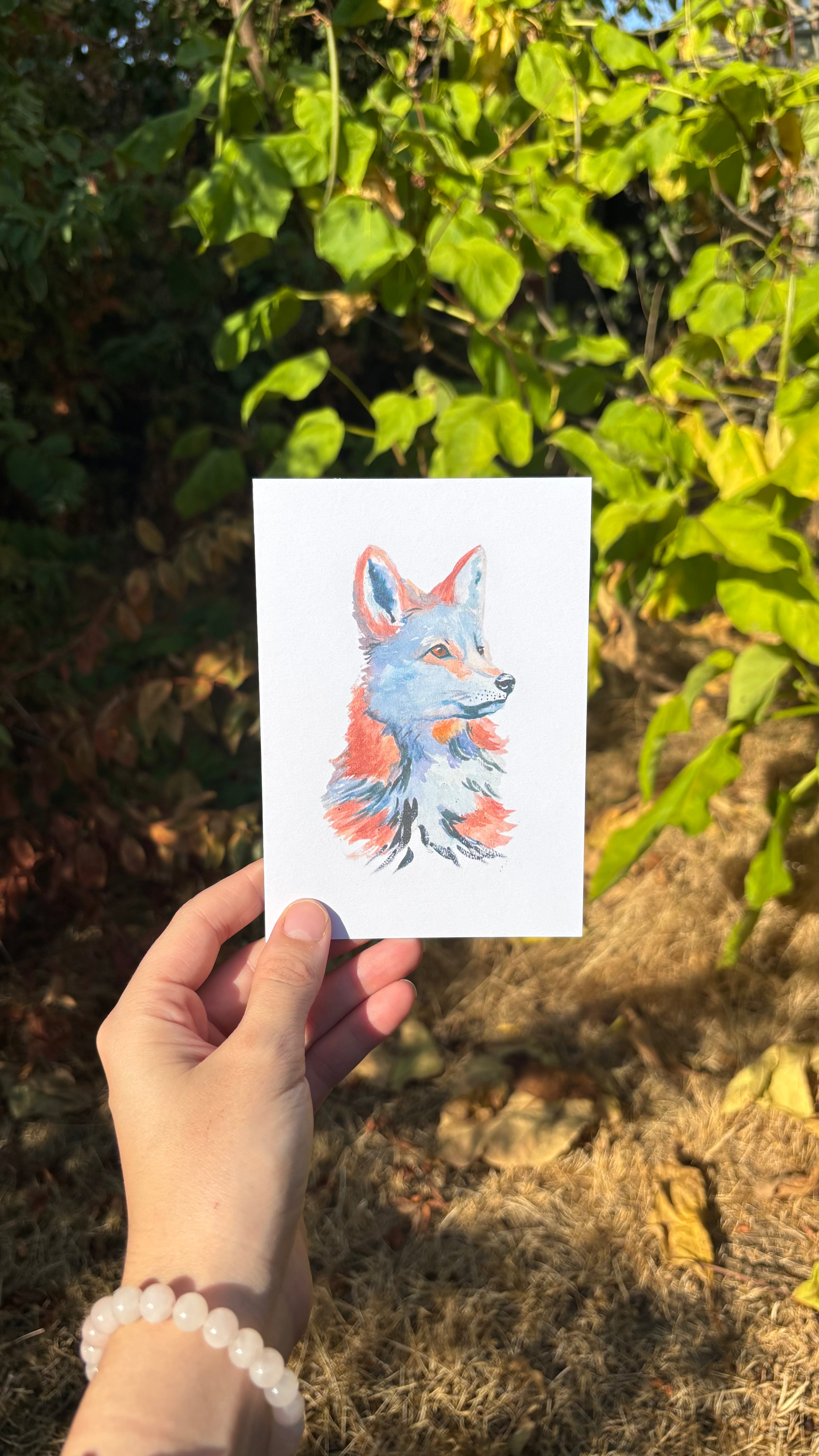 Watercolour Greetings Cards