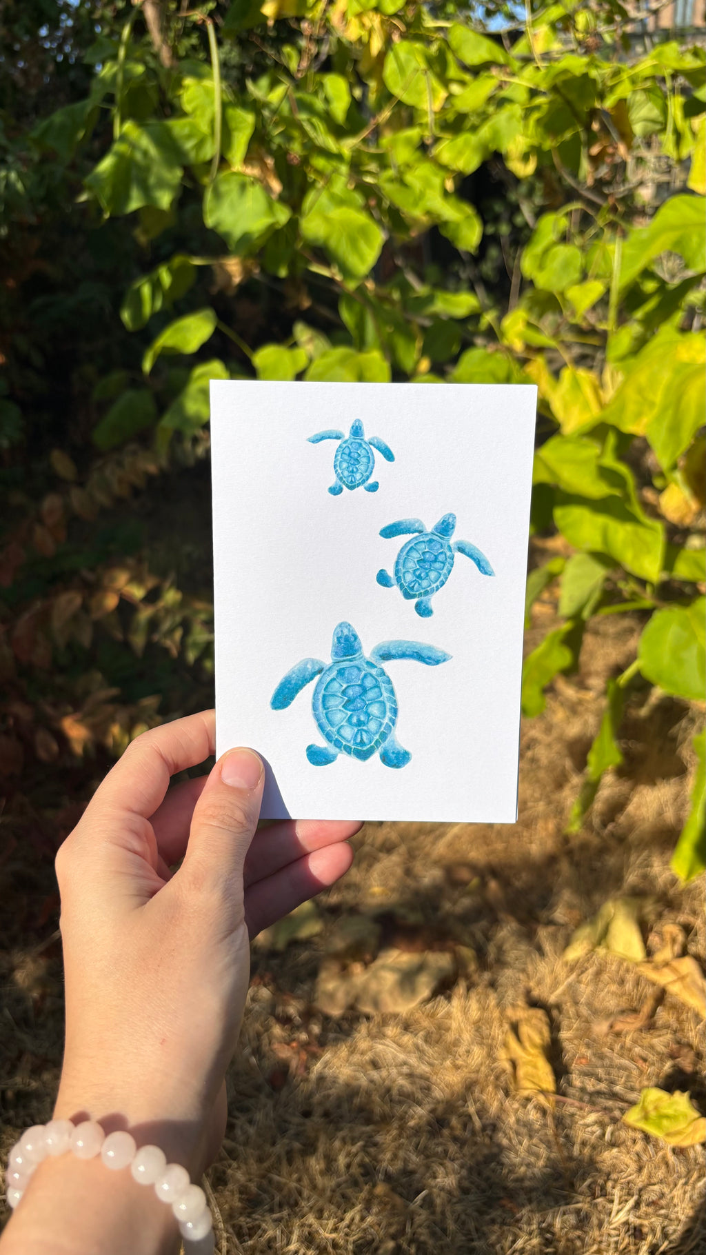 Watercolour Greetings Cards