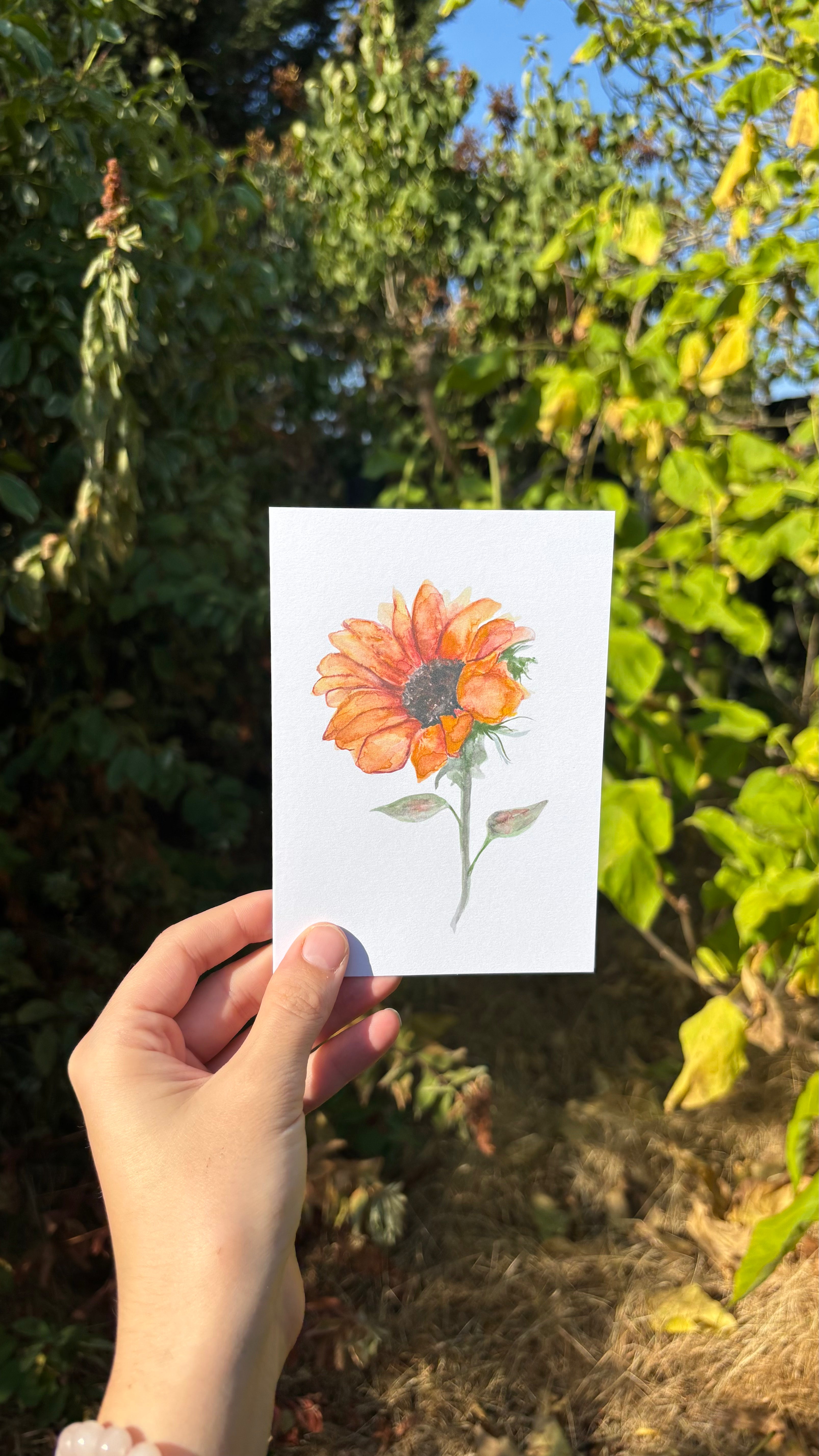 Watercolour Greetings Cards