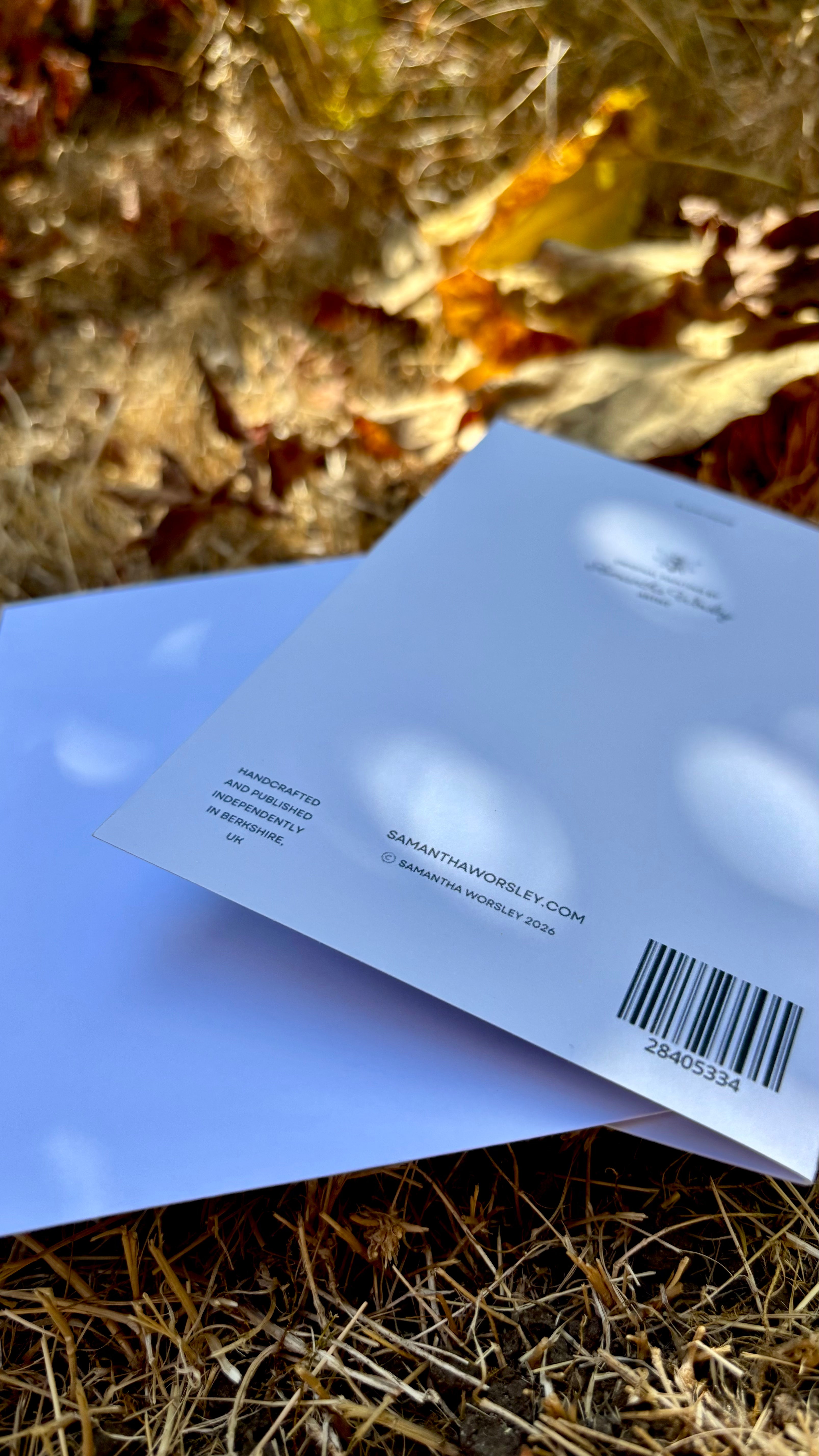 Watercolour Greetings Cards